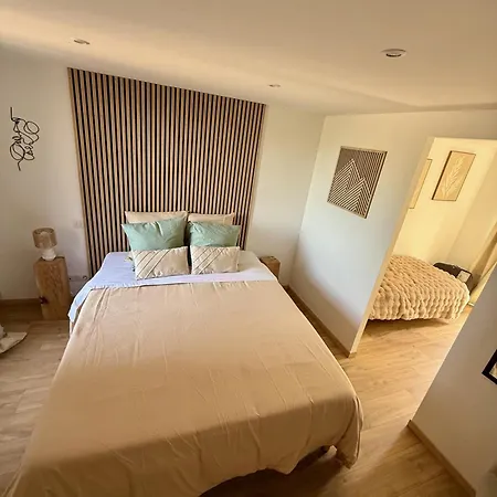 Au Petit Centre-ville Apartment Langres
